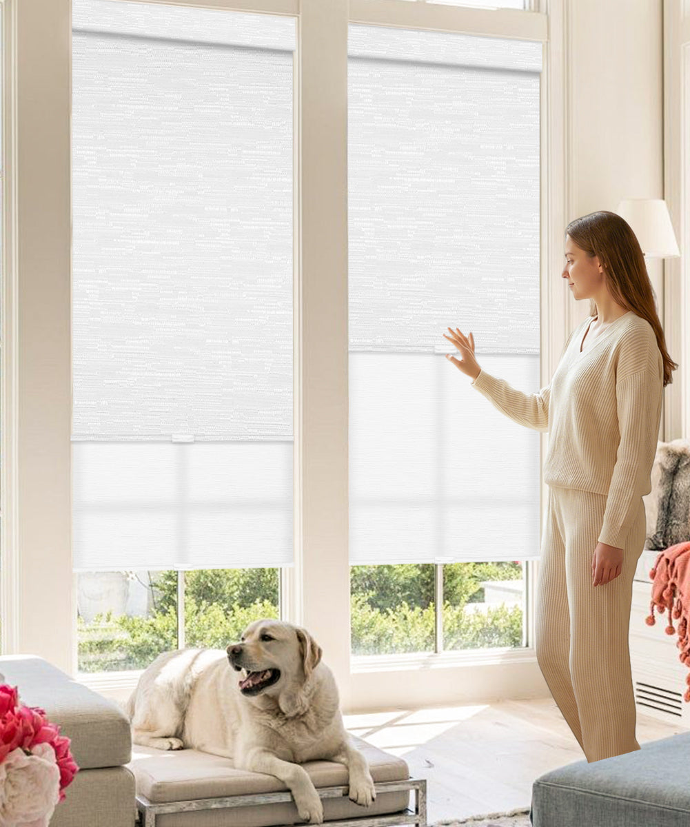 Manual Cordless Dual Roller Shades, Blackout & Light Filtering
