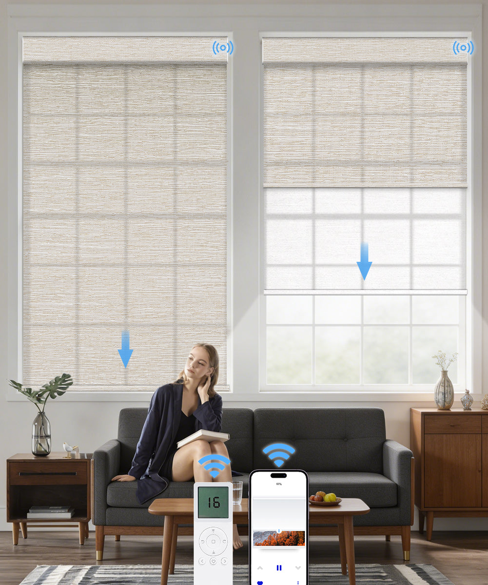 Motorized Dual Roller Shades, Light Filtering & Sheer