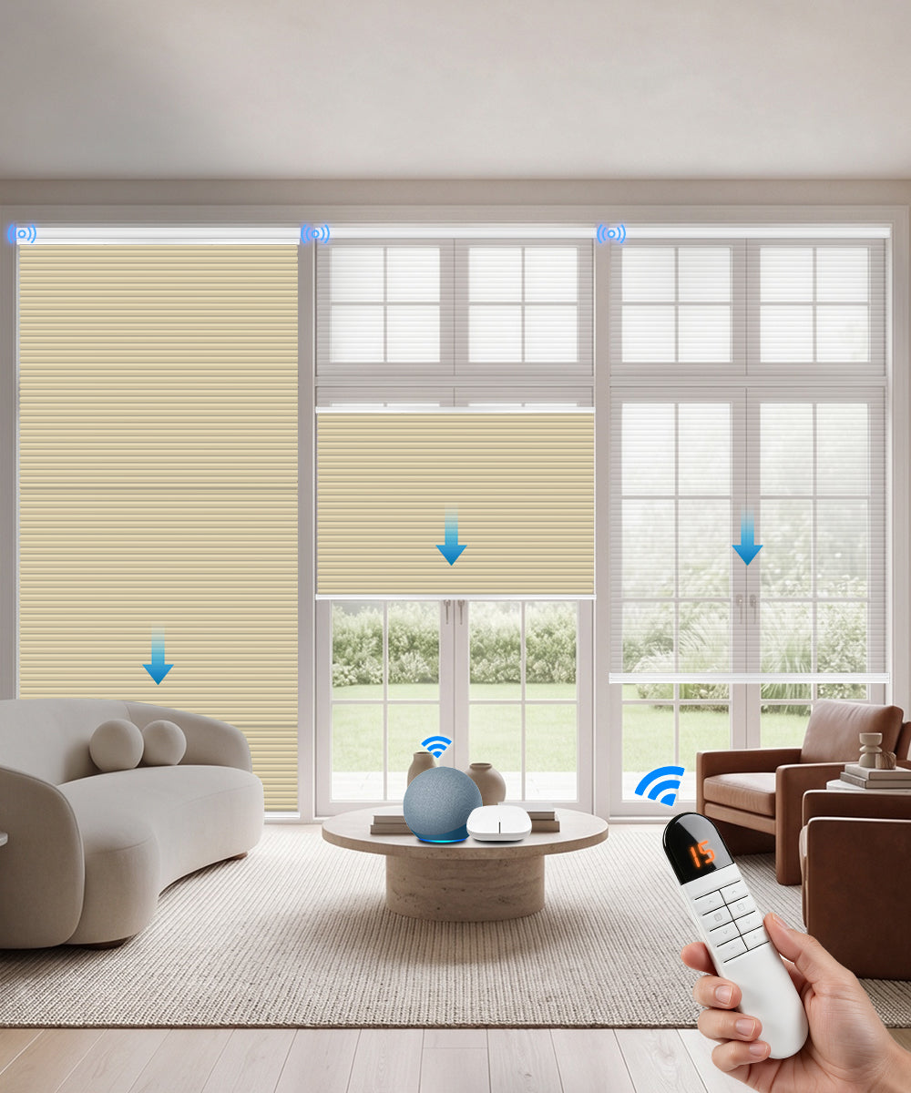 Motorized Day Night Cellular Shades – Sheer & Blackout/Light Filtering