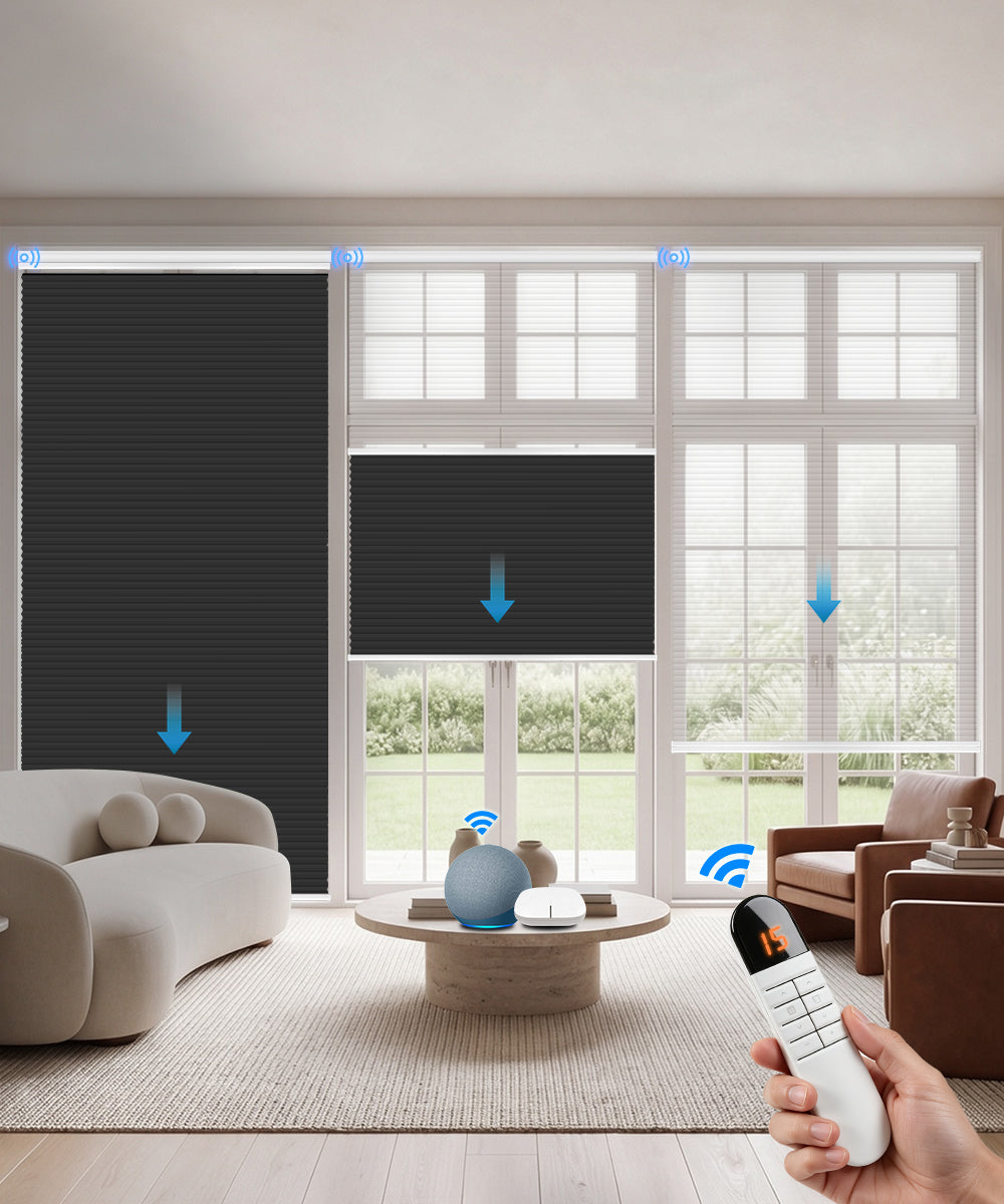 Motorized Day Night Cellular Shades – Sheer & Blackout/Light Filtering