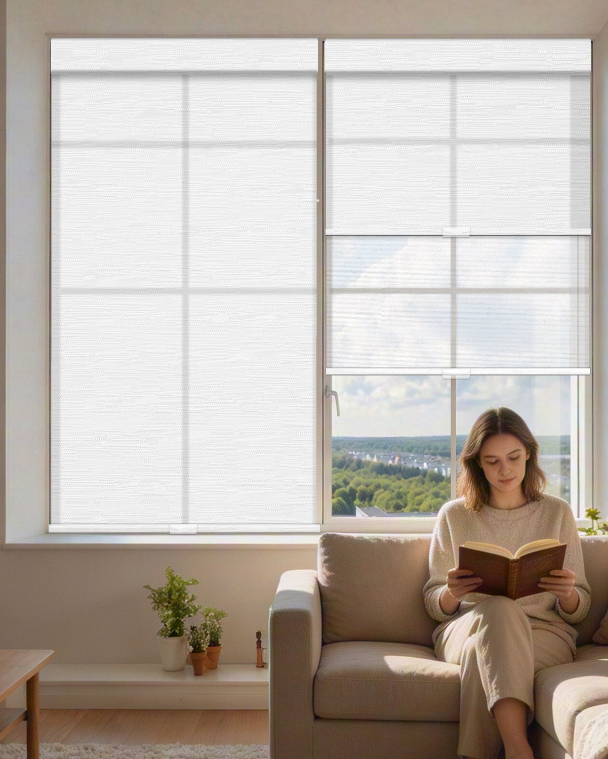 Manual Cordless Dual Roller Shades, Light Filtering & Sheer