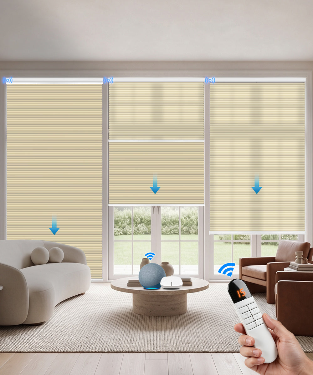 Motorized Day Night Cellular Shade (Light Filtering + Blackout)