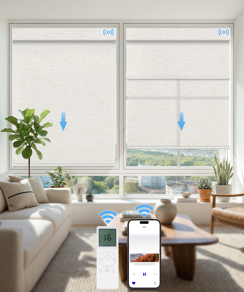 Motorized Dual Roller Shades, Blackout & Light Filtering