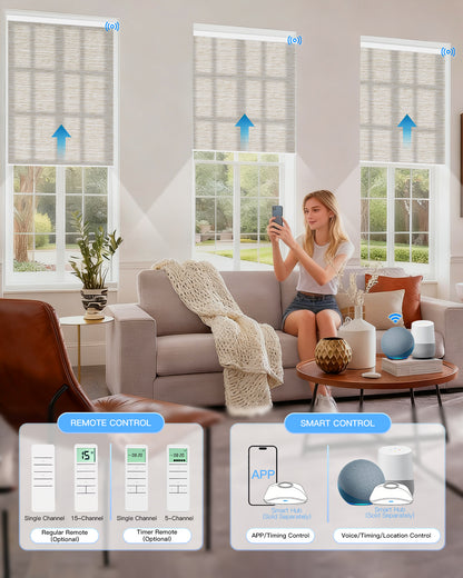 電動光透過ローラーシェード