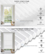 Motorized Day Night Cellular Shades – Sheer & Blackout/Light Filtering