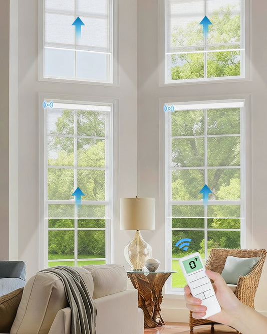 Motorized Light Filtering Roller Shades - Sheer White - Tokblind official