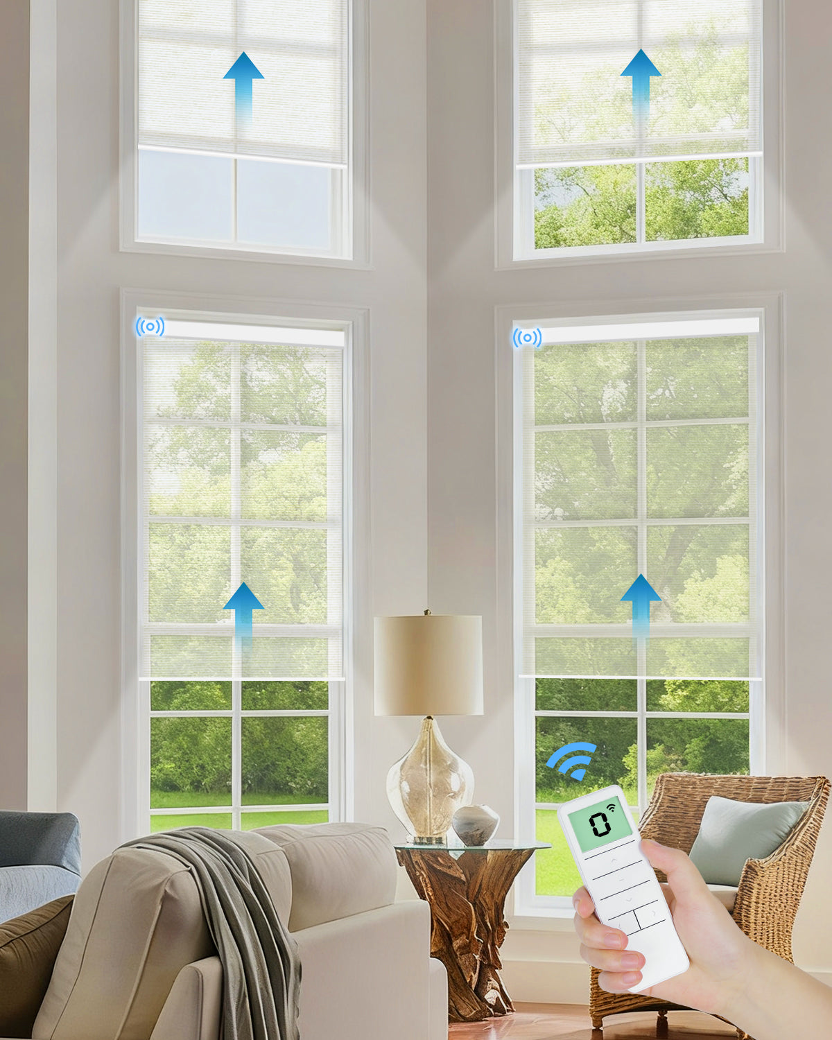 電動光透過ローラーシェード - シアーホワイト